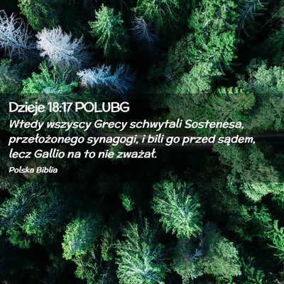 Picture 02 - Dzieje 18:17 POLUBG - Wtedy wszyscy Grecy schwytali Sostenesa, - Bible Verse Picture