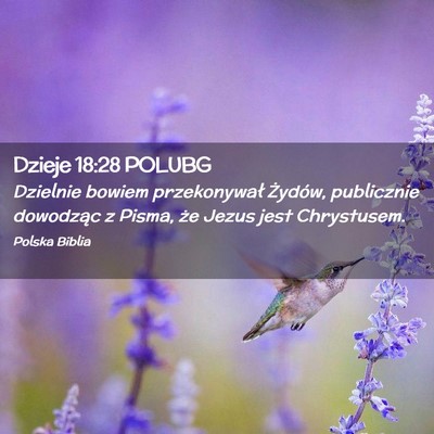 Picture 02 - Dzieje 18:28 POLUBG - Dzielnie bowiem przekonywał Żydów, publicznie - Bible Verse Picture