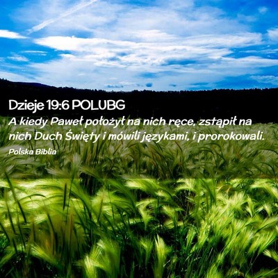 Picture 02 - Dzieje 19:6 POLUBG - A kiedy Paweł położył na nich ręce, - Bible Verse Picture