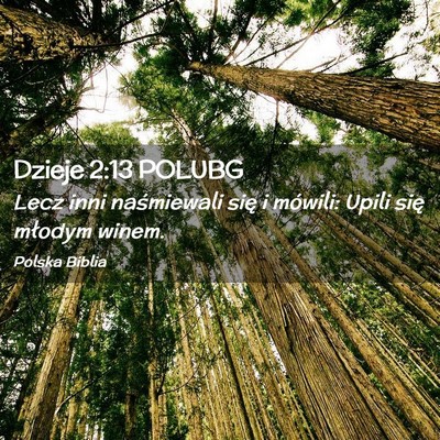 Picture 02 - Dzieje 2:13 POLUBG - Lecz inni naśmiewali się i mówili: Upili się - Bible Verse Picture