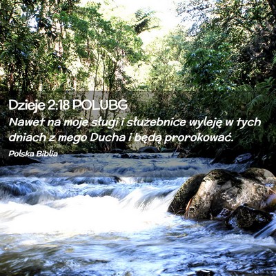 Picture 02 - Dzieje 2:18 POLUBG - Nawet na moje sługi i służebnice wyleję w - Bible Verse Picture
