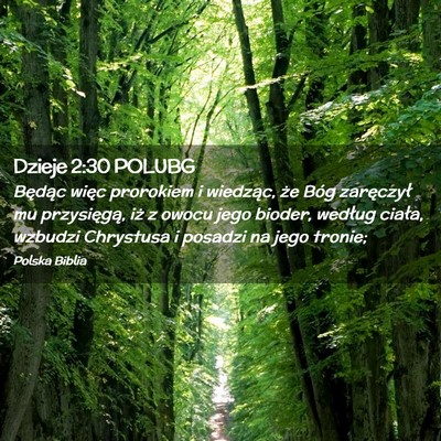 Picture 02 - Dzieje 2:30 POLUBG - Będąc więc prorokiem i wiedząc, że Bóg - Bible Verse Picture