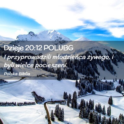 Picture 02 - Dzieje 20:12 POLUBG - I przyprowadzili młodzieńca żywego, i byli - Bible Verse Picture