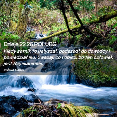 Picture 02 - Dzieje 22:26 POLUBG - Kiedy setnik to usłyszał, podszedł do dowódcy - Bible Verse Picture