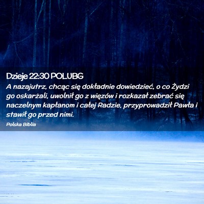 Picture 02 - Dzieje 22:30 POLUBG - A nazajutrz, chcąc się dokładnie dowiedzieć, - Bible Verse Picture