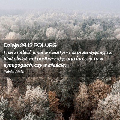 Picture 02 - Dzieje 24:12 POLUBG - I nie znaleźli mnie w świątyni - Bible Verse Picture