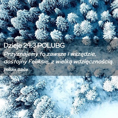 Picture 02 - Dzieje 24:3 POLUBG - Przyznajemy to zawsze i wszędzie, dostojny - Bible Verse Picture