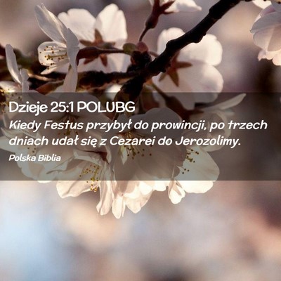 Picture 02 - Dzieje 25:1 POLUBG - Kiedy Festus przybył do prowincji, po trzech - Bible Verse Picture