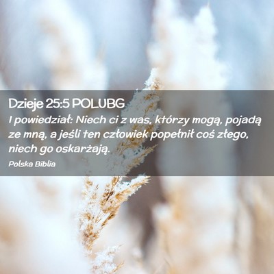 Picture 02 - Dzieje 25:5 POLUBG - I powiedział: Niech ci z was, którzy mogą, - Bible Verse Picture