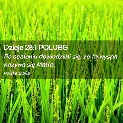 Picture 02 - Dzieje 28:1 POLUBG - Po ocaleniu dowiedzieli się, że ta wyspa nazywa - Bible Verse Picture