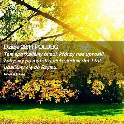 Picture 02 - Dzieje 28:14 POLUBG - Tam spotkaliśmy braci, którzy nas uprosili, - Bible Verse Picture