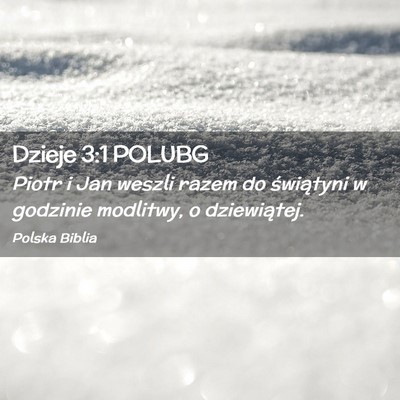 Picture 02 - Dzieje 3:1 POLUBG - Piotr i Jan weszli razem do świątyni w godzinie - Bible Verse Picture