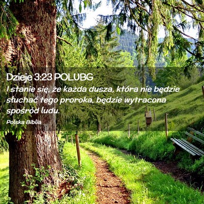 Picture 02 - Dzieje 3:23 POLUBG - I stanie się, że każda dusza, która nie - Bible Verse Picture