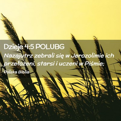 Picture 02 - Dzieje 4:5 POLUBG - Nazajutrz zebrali się w Jerozolimie ich - Bible Verse Picture