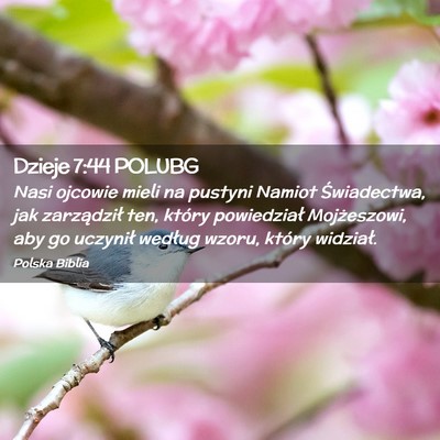 Picture 02 - Dzieje 7:44 POLUBG - Nasi ojcowie mieli na pustyni Namiot Świadectwa, - Bible Verse Picture