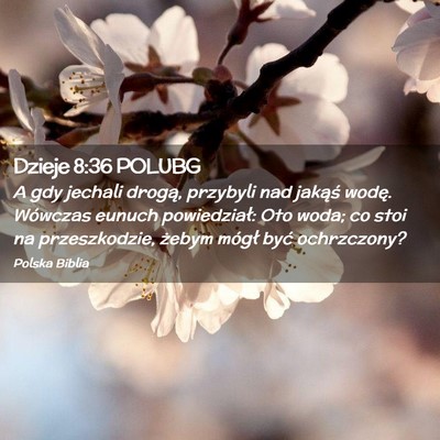 Picture 02 - Dzieje 8:36 POLUBG - A gdy jechali drogą, przybyli nad jakąś wodę. - Bible Verse Picture