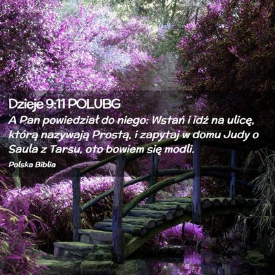 Picture 02 - Dzieje 9:11 POLUBG - A Pan powiedział do niego: Wstań i idź na - Bible Verse Picture