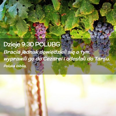 Picture 02 - Dzieje 9:30 POLUBG - Bracia jednak dowiedzieli się o tym, wyprawili - Bible Verse Picture
