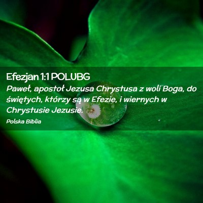 Picture 02 - Efezjan 1:1 POLUBG - Paweł, apostoł Jezusa Chrystusa z woli Boga, do - Bible Verse Picture