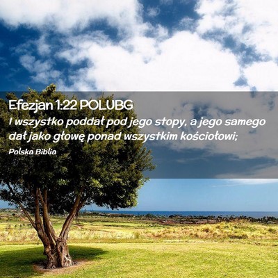 Picture 02 - Efezjan 1:22 POLUBG - I wszystko poddał pod jego stopy, a jego samego - Bible Verse Picture