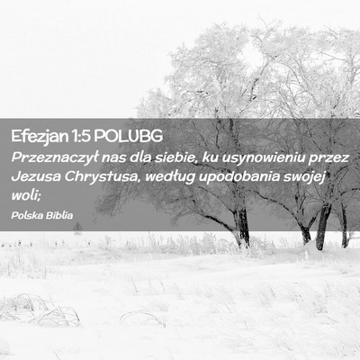 Picture 02 - Efezjan 1:5 POLUBG - Przeznaczył nas dla siebie, ku usynowieniu przez - Bible Verse Picture