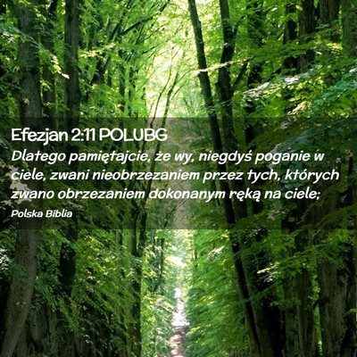 Picture 02 - Efezjan 2:11 POLUBG - Dlatego pamiętajcie, że wy, niegdyś poganie w - Bible Verse Picture