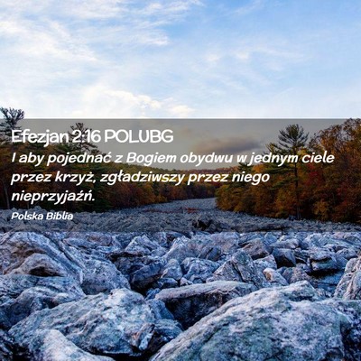Picture 02 - Efezjan 2:16 POLUBG - I aby pojednać z Bogiem obydwu w jednym ciele - Bible Verse Picture