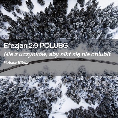 Picture 02 - Efezjan 2:9 POLUBG - Nie z uczynków, aby nikt się nie - Bible Verse Picture