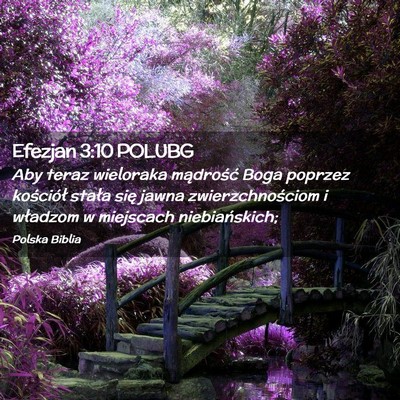 Picture 02 - Efezjan 3:10 POLUBG - Aby teraz wieloraka mądrość Boga poprzez - Bible Verse Picture