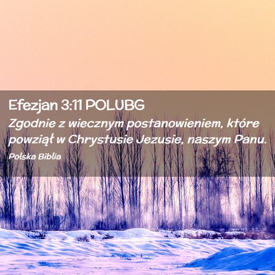 Picture 02 - Efezjan 3:11 POLUBG - Zgodnie z wiecznym postanowieniem, które - Bible Verse Picture