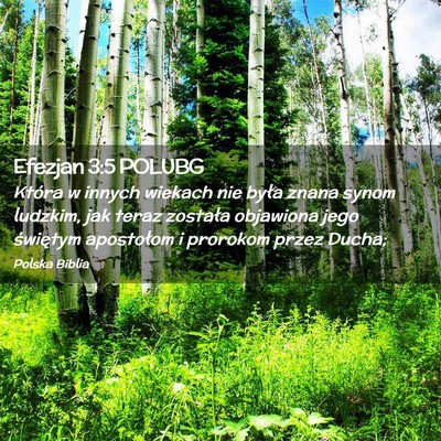 Picture 02 - Efezjan 3:5 POLUBG - Która w innych wiekach nie była znana synom - Bible Verse Picture