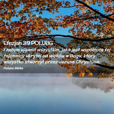 Picture 02 - Efezjan 3:9 POLUBG - I żebym ujawnił wszystkim, jaka jest wspólnota - Bible Verse Picture