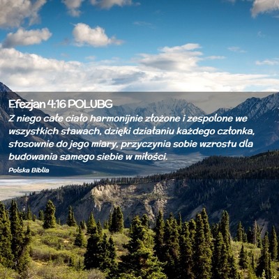 Picture 02 - Efezjan 4:16 POLUBG - Z niego całe ciało harmonijnie złożone i - Bible Verse Picture