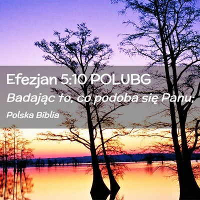 Picture 02 - Efezjan 5:10 POLUBG - Badając to, co podoba się - Bible Verse Picture