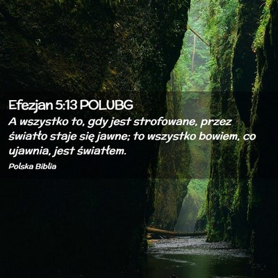 Picture 02 - Efezjan 5:13 POLUBG - A wszystko to, gdy jest strofowane, przez - Bible Verse Picture