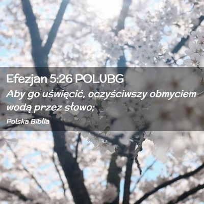 Picture 02 - Efezjan 5:26 POLUBG - Aby go uświęcić, oczyściwszy obmyciem wodą - Bible Verse Picture