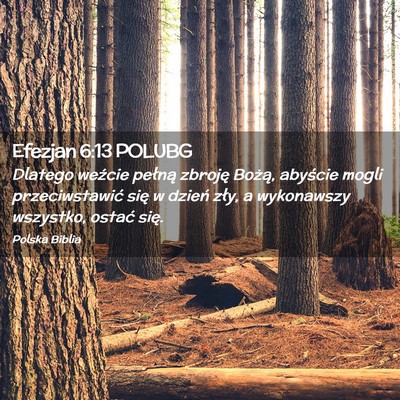 Picture 02 - Efezjan 6:13 POLUBG - Dlatego weźcie pełną zbroję Bożą, abyście - Bible Verse Picture