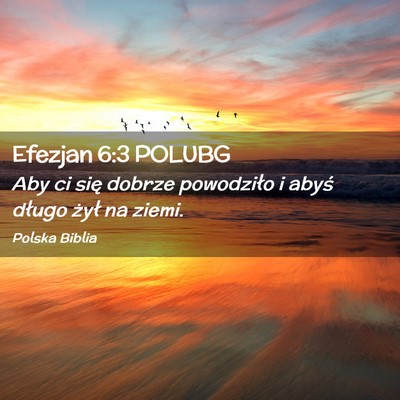 Picture 02 - Efezjan 6:3 POLUBG - Aby ci się dobrze powodziło i abyś długo - Bible Verse Picture