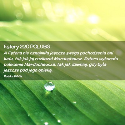 Picture 02 - Estery 2:20 POLUBG - A Estera nie oznajmiła jeszcze swego pochodzenia - Bible Verse Picture
