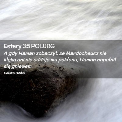 Picture 02 - Estery 3:5 POLUBG - A gdy Haman zobaczył, że Mardocheusz nie klęka - Bible Verse Picture