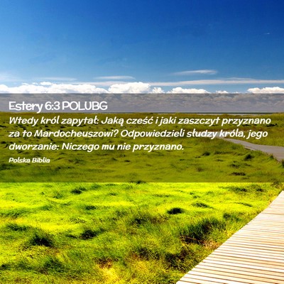Picture 02 - Estery 6:3 POLUBG - Wtedy król zapytał: Jaką cześć i jaki - Bible Verse Picture