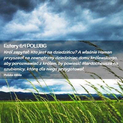 Picture 02 - Estery 6:4 POLUBG - Król zapytał: Kto jest na dziedzińcu? A - Bible Verse Picture