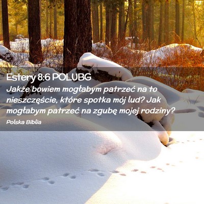 Picture 02 - Estery 8:6 POLUBG - Jakże bowiem mogłabym patrzeć na to - Bible Verse Picture