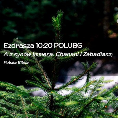 Picture 02 - Ezdrasza 10:20 POLUBG - A z synów Immera: Chanani i - Bible Verse Picture