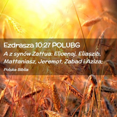 Picture 02 - Ezdrasza 10:27 POLUBG - A z synów Zattua: Elioenaj, Eliaszib, - Bible Verse Picture