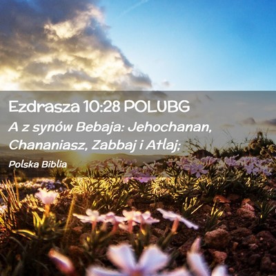 Picture 02 - Ezdrasza 10:28 POLUBG - A z synów Bebaja: Jehochanan, Chananiasz, Zabbaj - Bible Verse Picture