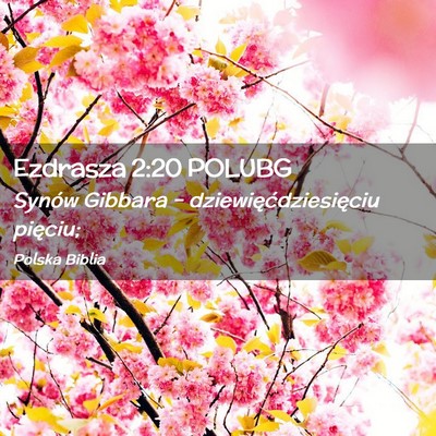 Picture 02 - Ezdrasza 2:20 POLUBG - Synów Gibbara – dziewięćdziesięciu - Bible Verse Picture