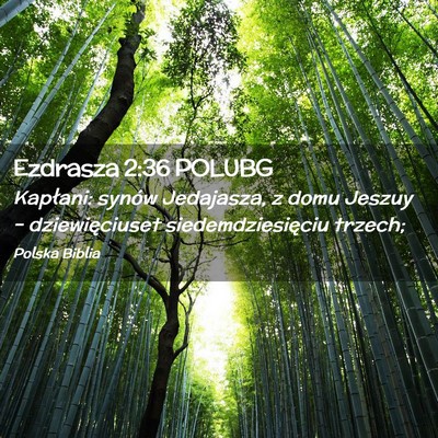 Picture 02 - Ezdrasza 2:36 POLUBG - Kapłani: synów Jedajasza, z domu Jeszuy – - Bible Verse Picture