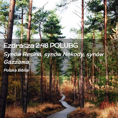Picture 02 - Ezdrasza 2:48 POLUBG - Synów Resina, synów Nekody, synów - Bible Verse Picture