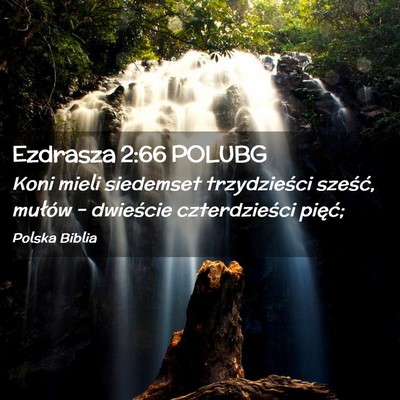 Picture 02 - Ezdrasza 2:66 POLUBG - Koni mieli siedemset trzydzieści sześć, - Bible Verse Picture